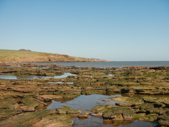 Shoreline at East Mathers