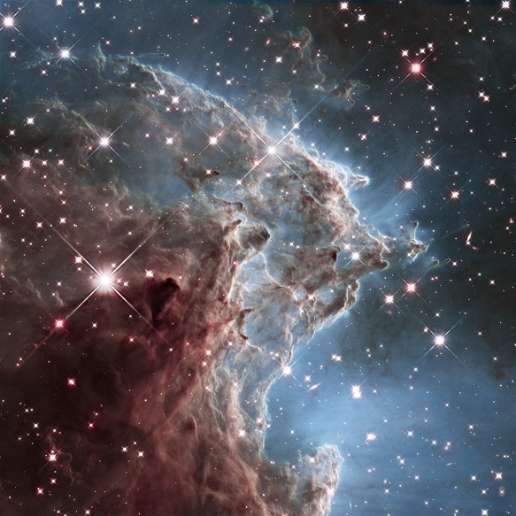 Star factory in the Monkey Head Nebula. A cloud of gas and dust is sculped by ultraviolet light from young stars at the centre of the nebula.