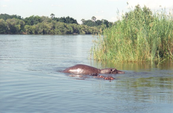 00986_n_10af2g2zzb0986